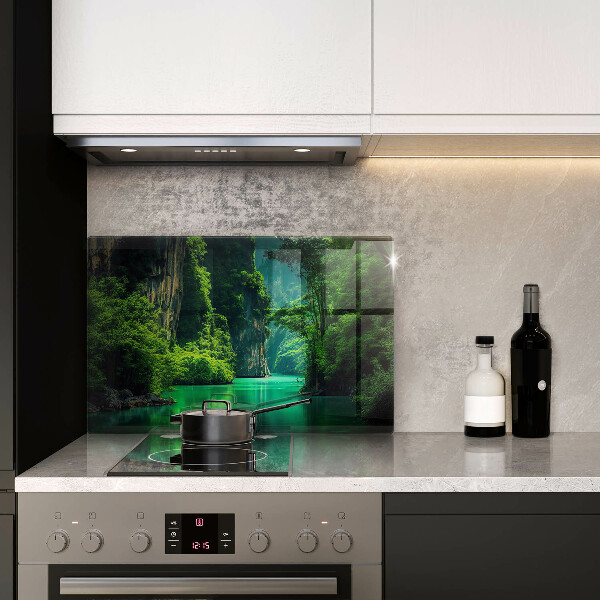 Zaščitna plošča za štedilnik Lagunska pokrajina