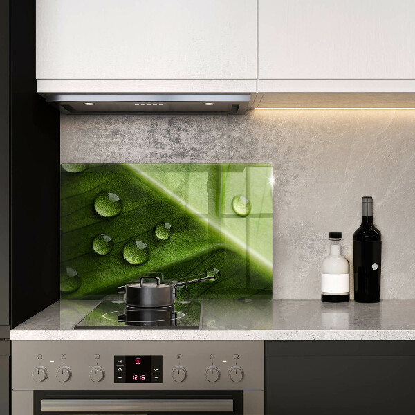 Zaščitna plošča za štedilnik Narava rosa in list