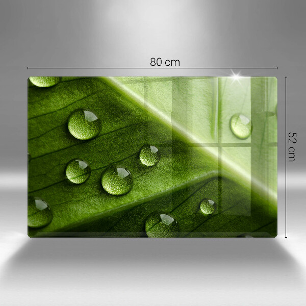 Zaščitna plošča za štedilnik Narava rosa in list