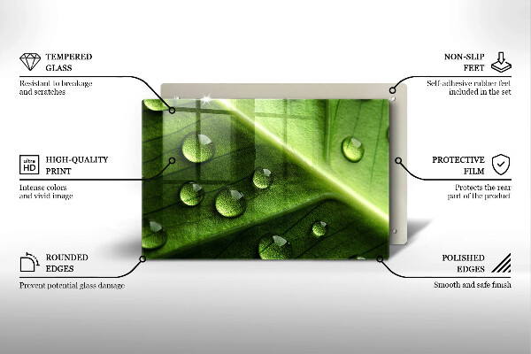 Zaščitna plošča za štedilnik Narava rosa in list