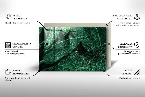 Zaščitna steklena plošča za štedilnik Listi rastline