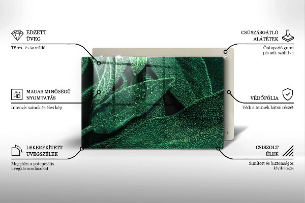 Zaščitna steklena plošča za štedilnik Listi rastline