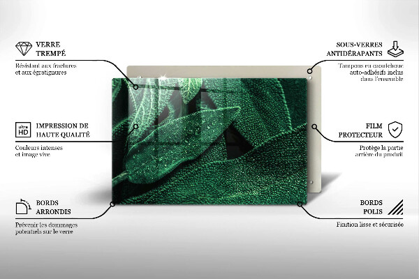 Zaščitna steklena plošča za štedilnik Listi rastline