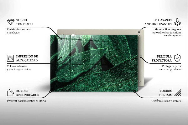 Zaščitna steklena plošča za štedilnik Listi rastline