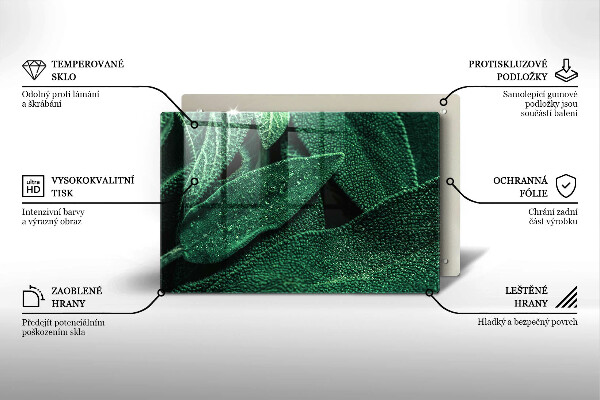 Zaščitna steklena plošča za štedilnik Listi rastline