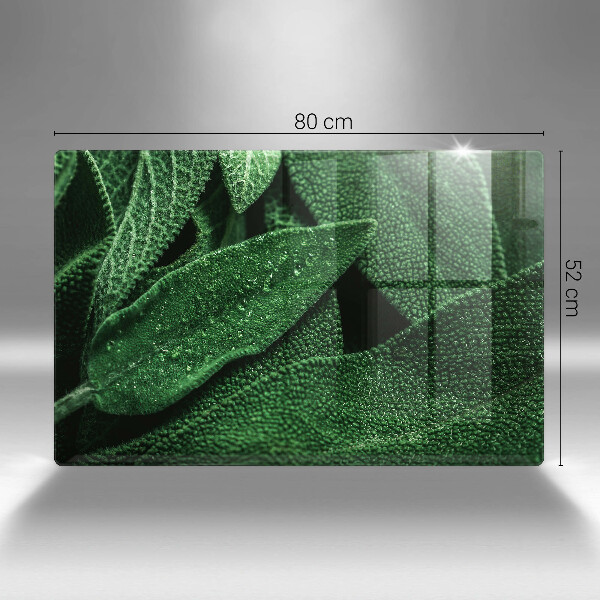 Zaščitna steklena plošča za štedilnik Listi rastline