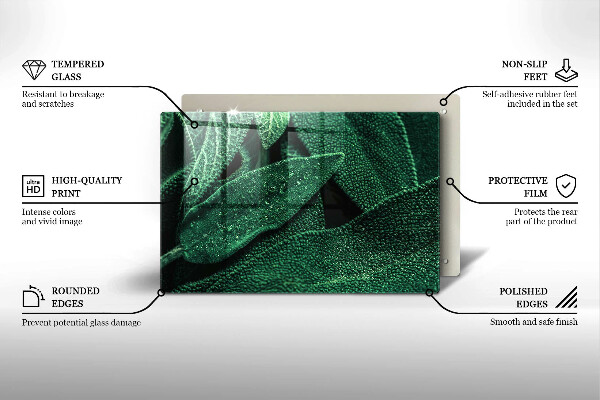 Zaščitna steklena plošča za štedilnik Listi rastline