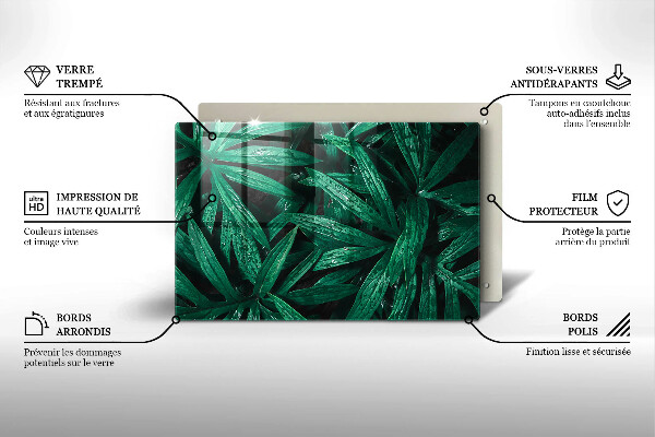 Zaščitna plošča za štedilnik Listi rastlin