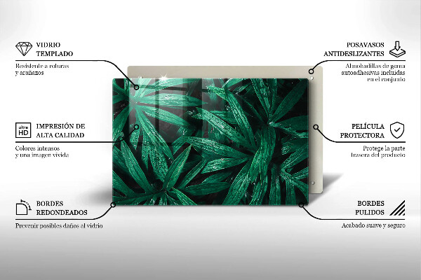 Zaščitna plošča za štedilnik Listi rastlin