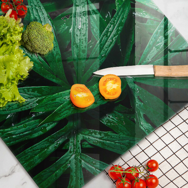 Zaščitna plošča za štedilnik Listi rastlin