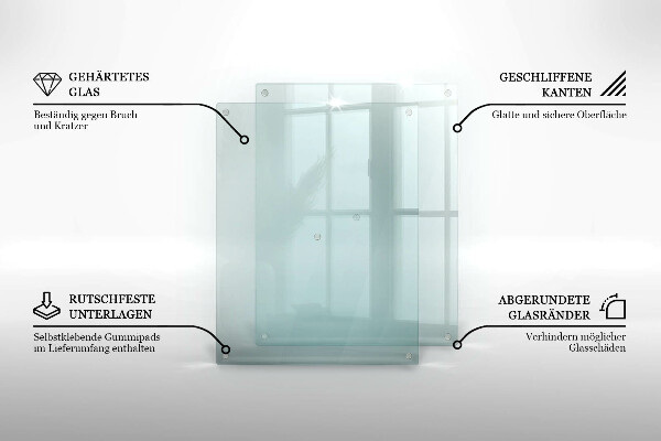 Prozorna stenska zaščitna plošča za štedilnik 2x40x52 cm