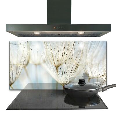 Zidna obloga za kuhinju Regrat regrat v vetru