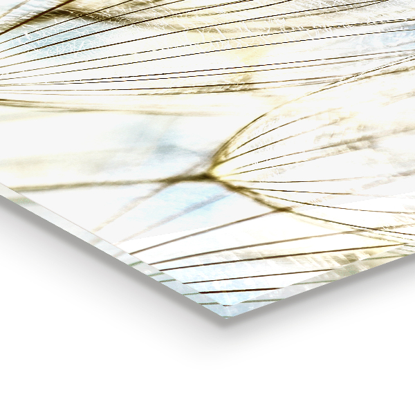 Zidna obloga za kuhinju Regrat regrat v vetru