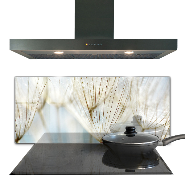 Zidna obloga za kuhinju Regrat regrat v vetru