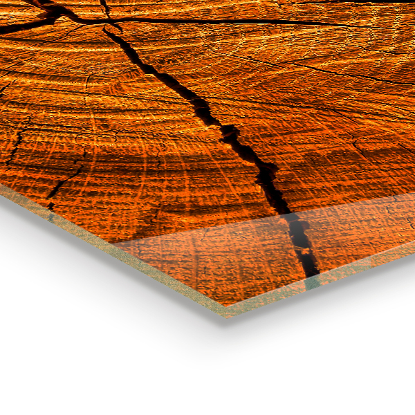 Stenska plošča za kuhinjo Struktura debla