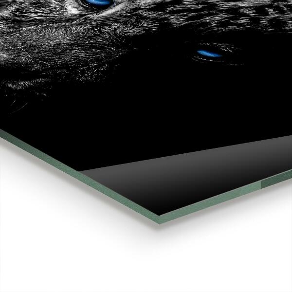 Stenska plošča za kuhinjo Divja mačka dark panther