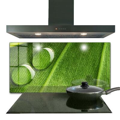 Zidna obloga za kuhinju Kaplja rose na listu