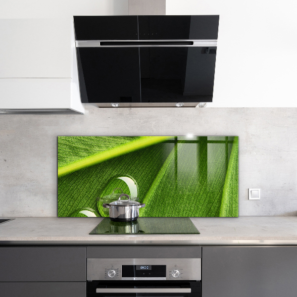 Zidna obloga za kuhinju Kaplja rose na listu