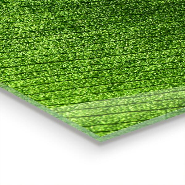 Zidna obloga za kuhinju Kaplja rose na listu