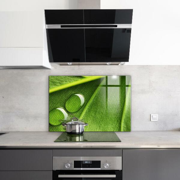 Zidna obloga za kuhinju Kaplja rose na listu