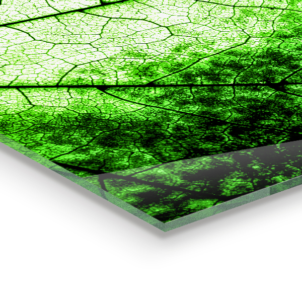 Zidna obloga za kuhinju Tekstura zelenega lista