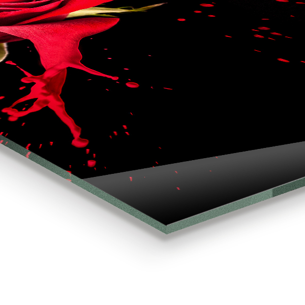 Zidna obloga za kuhinju Povzetek rdeče vrtnice