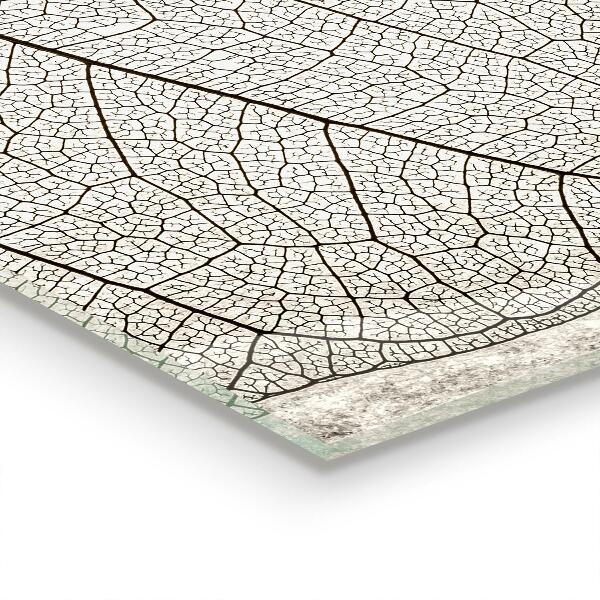 Zidna obloga za kuhinju Tekstura listov sepije