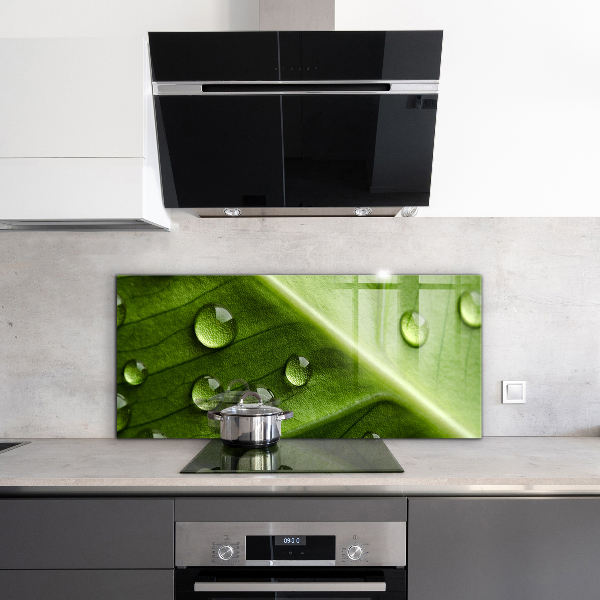 Zidna obloga za kuhinju List s kapljicami jutranje rose