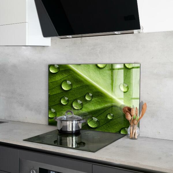 Zidna obloga za kuhinju List s kapljicami jutranje rose