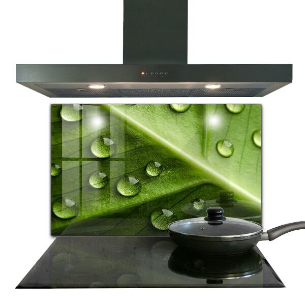 Zidna obloga za kuhinju List s kapljicami jutranje rose