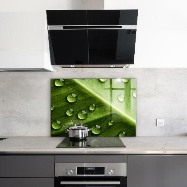Zidna obloga za kuhinju List s kapljicami jutranje rose