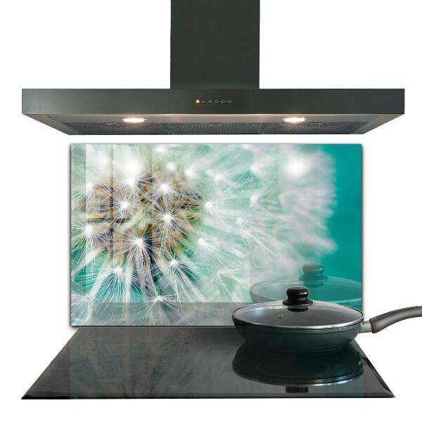 Zidna obloga za kuhinju Regrat v vetrnici