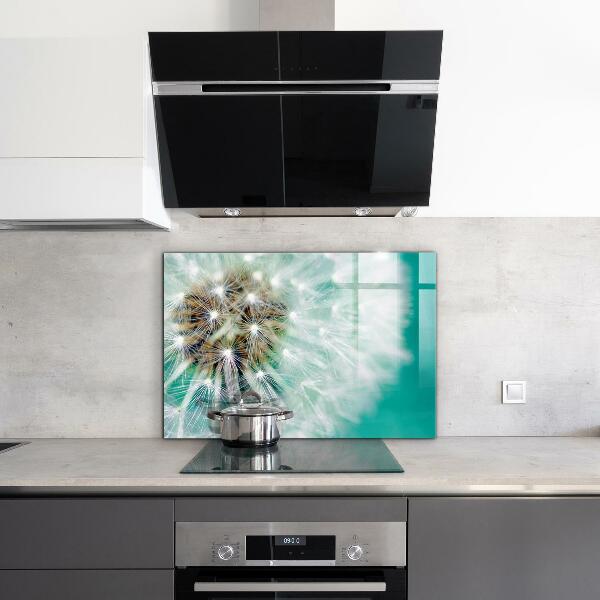 Zidna obloga za kuhinju Regrat v vetrnici