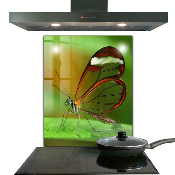 Stenska plošča za kuhinjo Metulj na listu