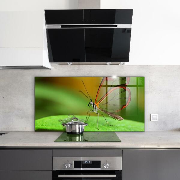 Stenska plošča za kuhinjo Metulj na listu