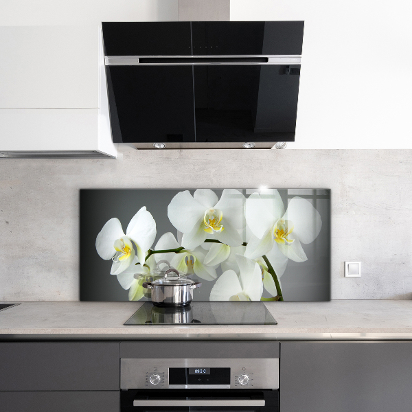 Zidna obloga za kuhinju Bela orhideja na črnem ozadju