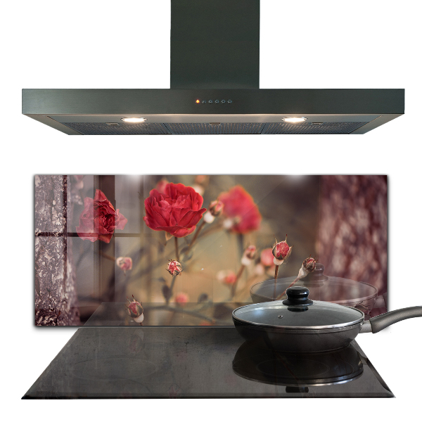 Zidna obloga za kuhinju Divja vrtnica v parku