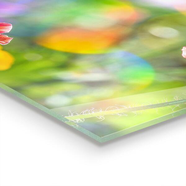 Zidna obloga za kuhinju Poletni travnik makov