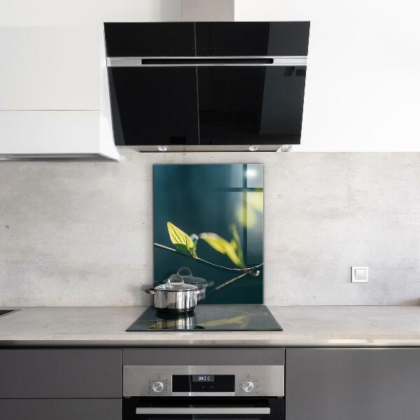 Zidna obloga za kuhinju Svetleč list na veji