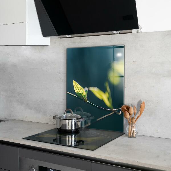 Zidna obloga za kuhinju Svetleč list na veji