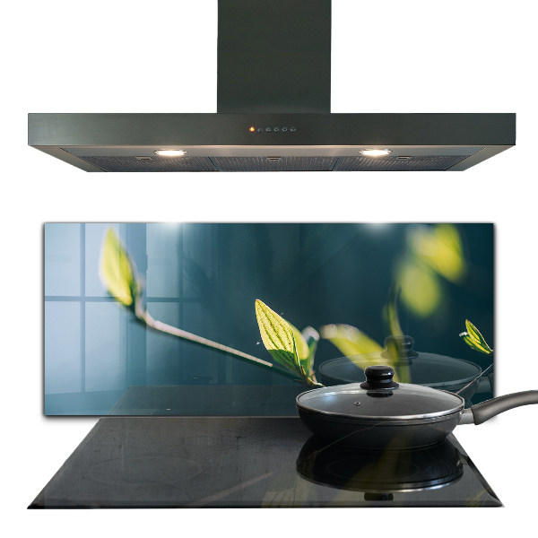 Zidna obloga za kuhinju Svetleč list na veji