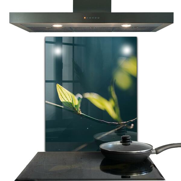 Zidna obloga za kuhinju Svetleč list na veji