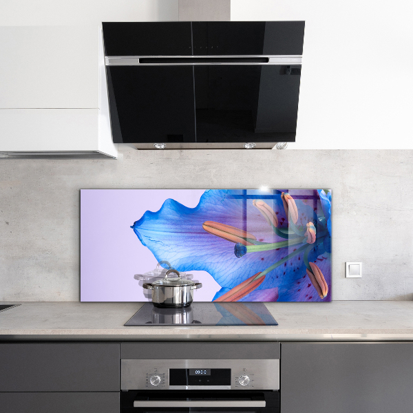 Zidna obloga za kuhinju Čudovita modra lilija