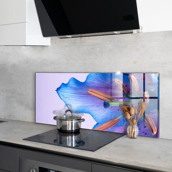 Zidna obloga za kuhinju Čudovita modra lilija