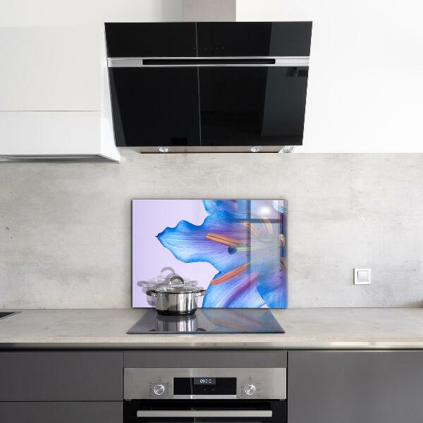 Zidna obloga za kuhinju Čudovita modra lilija