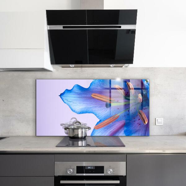 Zidna obloga za kuhinju Čudovita modra lilija