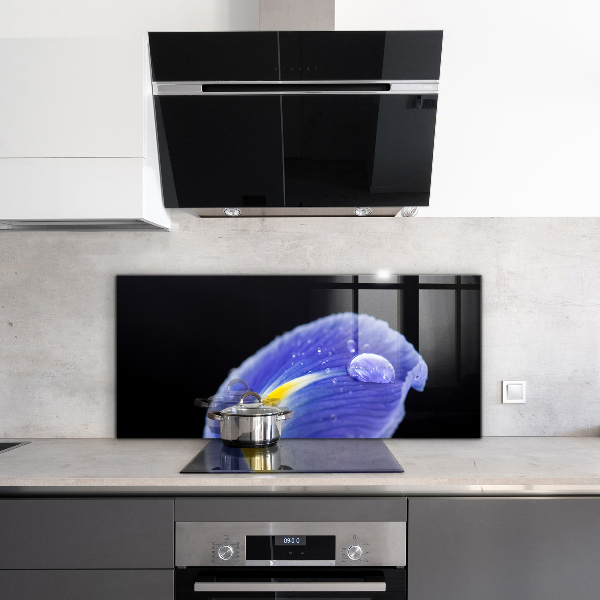 Zidna obloga za kuhinju Vijolični cvet perunike