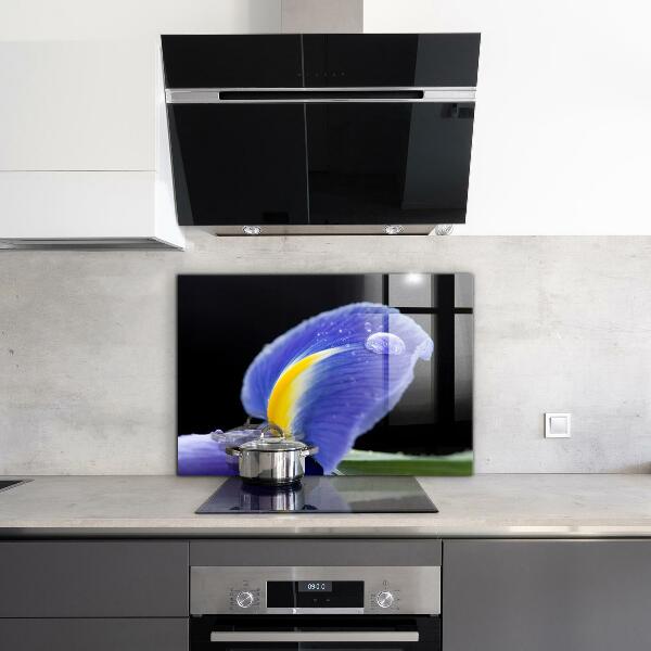 Zidna obloga za kuhinju Vijolični cvet perunike