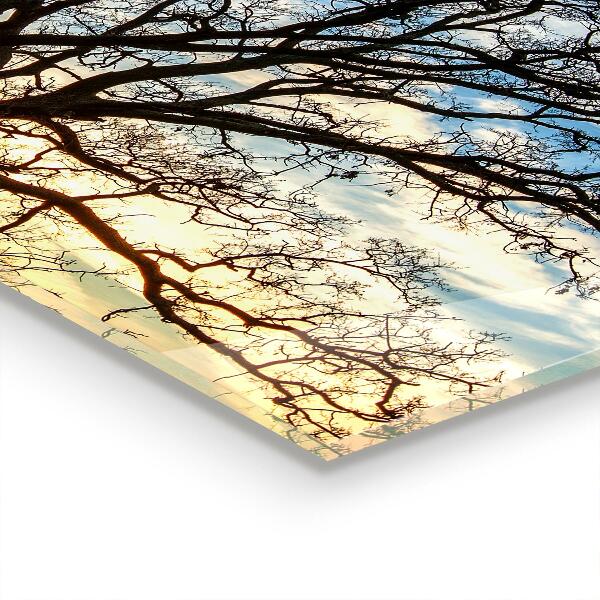 Stenska plošča za kuhinjo Krajinski travnik zjutraj