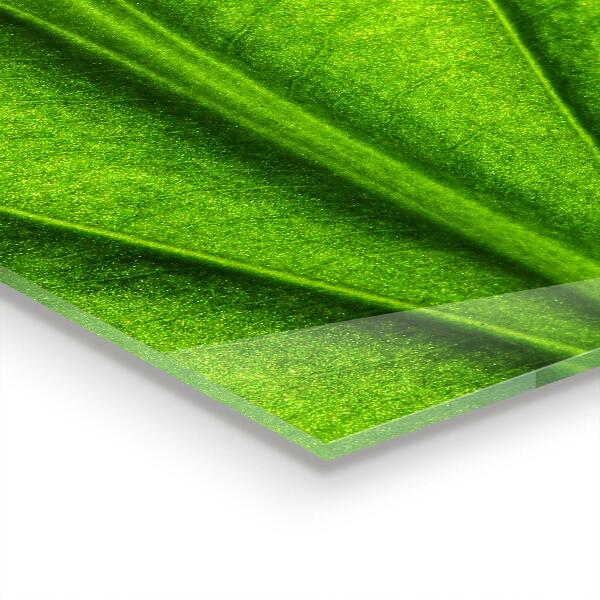 Zidna obloga za kuhinju Podrobnosti zelenega lista